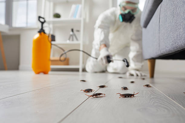 Commercial Kitchen Cockroach Control in Fairbanks